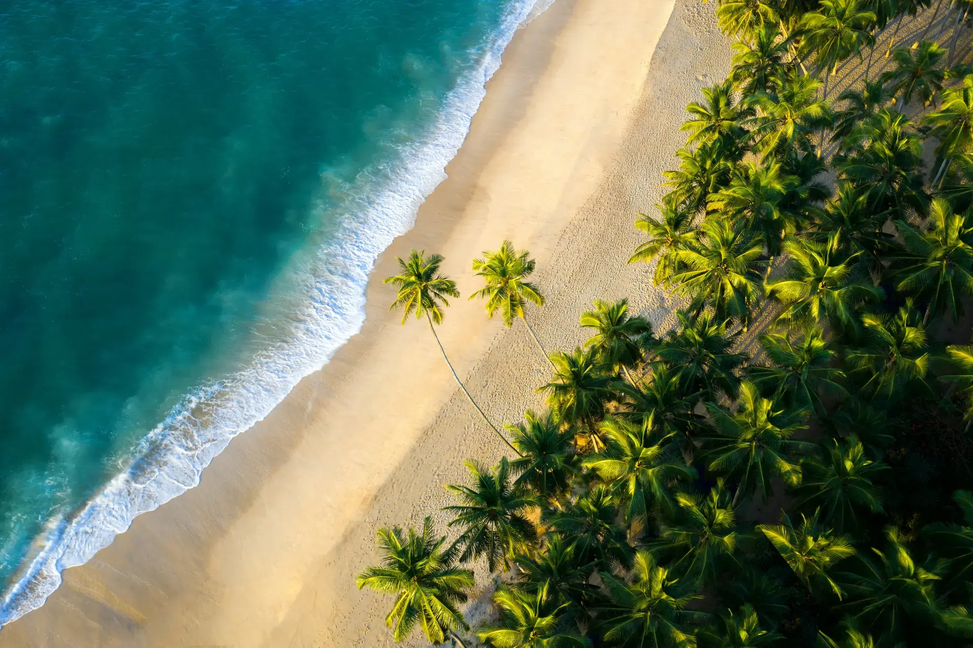 Classic Sri Lanka Heritage & Coast
