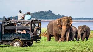 Active Adventure & Eco Trekking